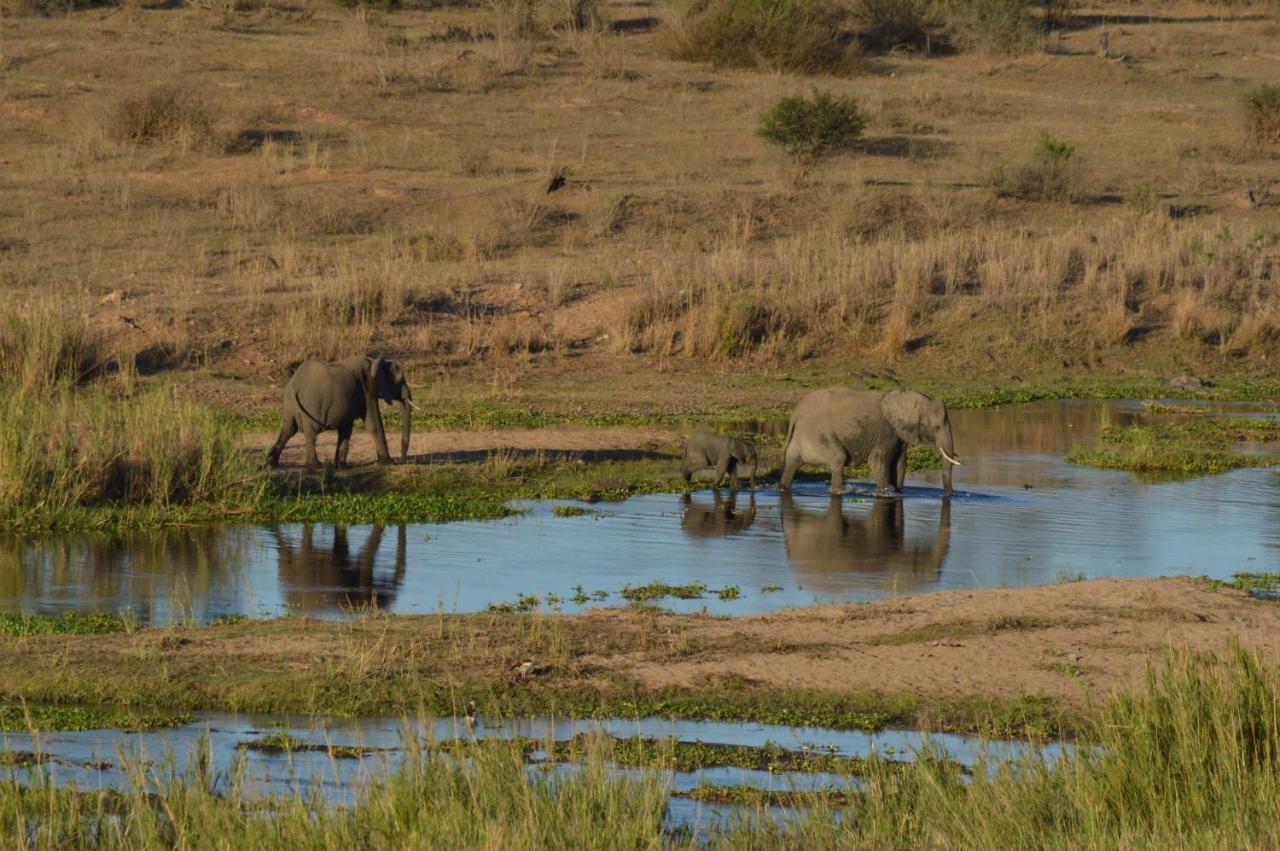 קומאטיפורט Buckler'S Africa Lodge Kruger Park מראה חיצוני תמונה